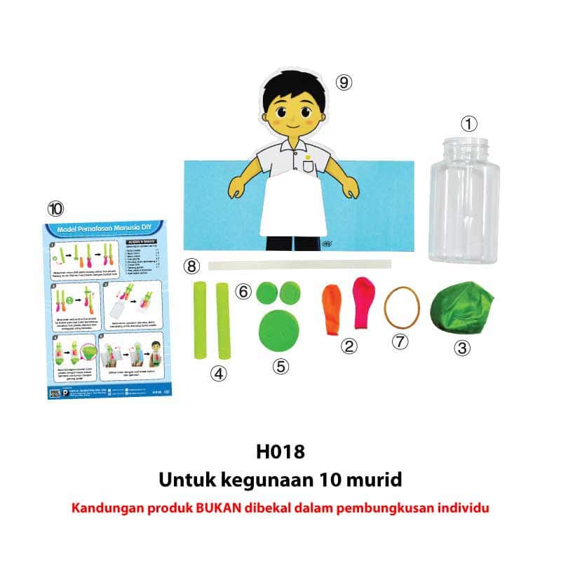 Model Pernafasan Manusia DIY - DIY 人体呼吸模型 - Image 5