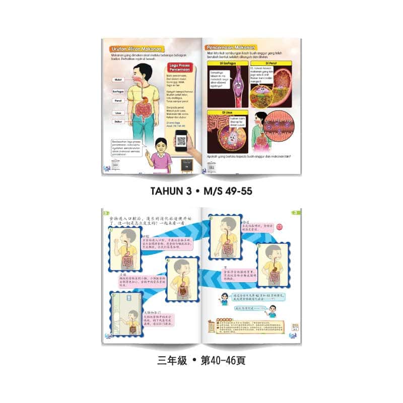 Model Proses Pencernaan DIY - DIY 消化过程模型 - Image 2