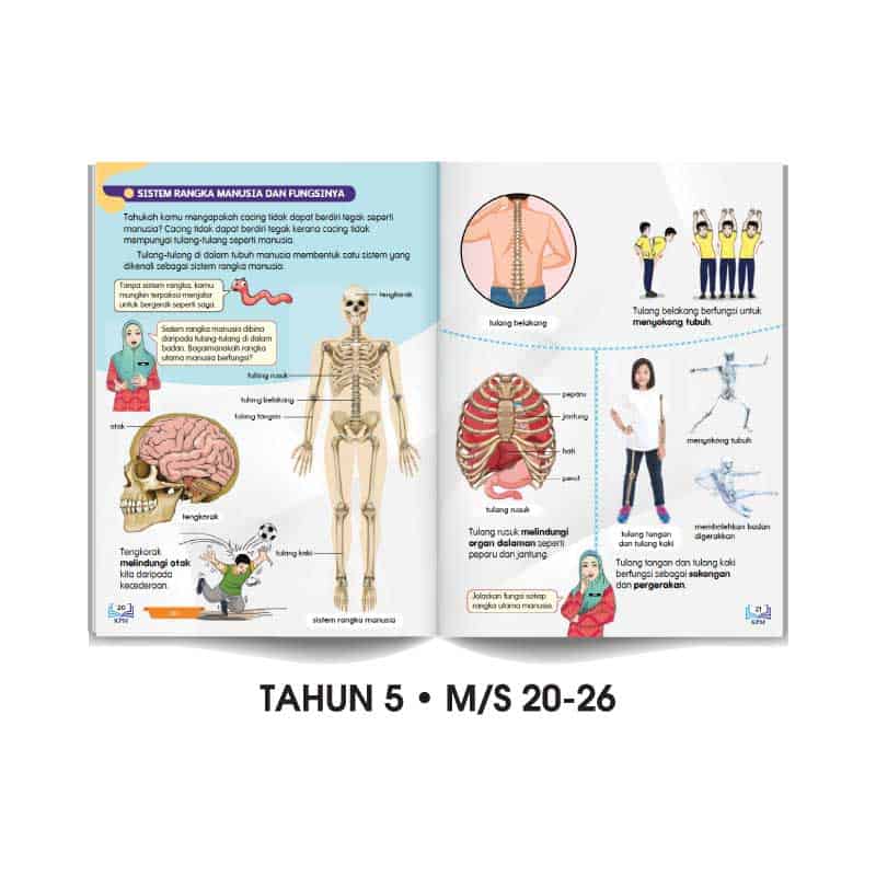 Carta Selak KENALI & SAYANGI Badan Kita - TOPIK 1: STRUKTUR BADAN MANUSIA - Image 2