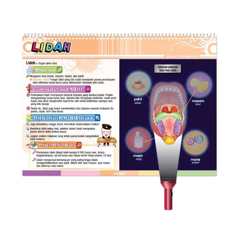 Carta Selak KENALI & SAYANGI Badan Kita - TOPIK 2: ORGAN DERIA MANUSIA - 感觉器官