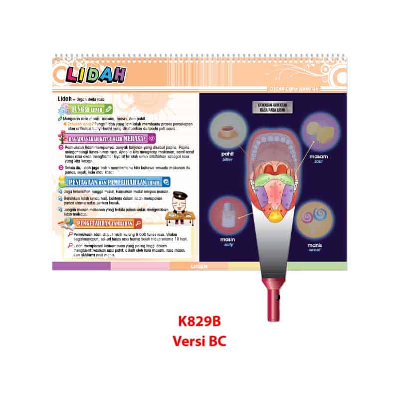 Carta Selak KENALI & SAYANGI Badan Kita - TOPIK 2: ORGAN DERIA MANUSIA - 感觉器官 - Image 3