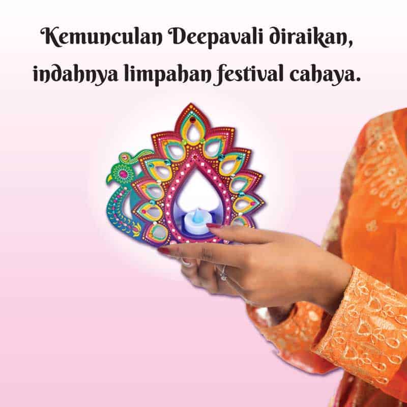 DIY Peacock DIYA Light - Image 2